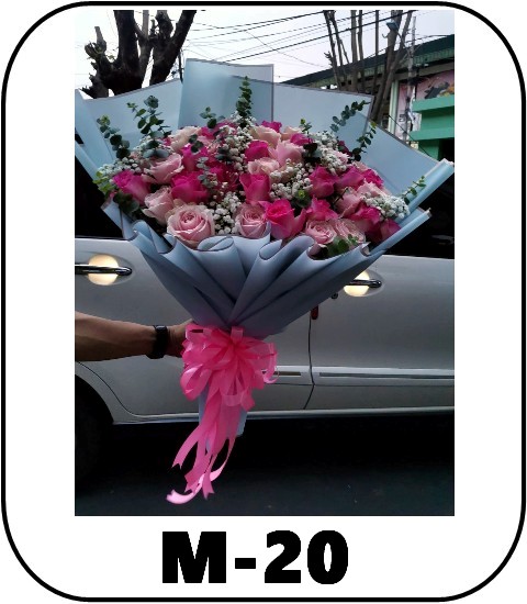 M-20